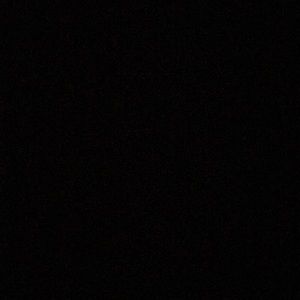 Meet your Posher, Rodney